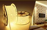 220/110V LED Strip LED Light LED