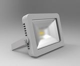 LED Flood Light