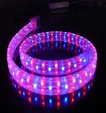 3528SMD High Brightness LED Strip Light LED Light (230V / 110V)