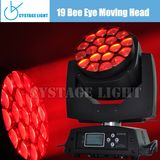 19X15W RGBW LED Small Moving Head Light