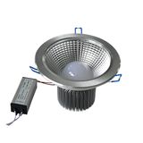 LED Down Light