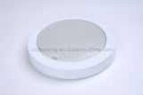 LED Ceiling Light, LED Wall Light (ZYXD170 8W)