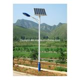 Best Countryside 15W LED Lighting Solar Street Light