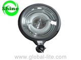 Induction Lamp (SL-1135) Street Lights