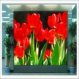 Indoor P7.62 Full Color LED DOT Matrix Display