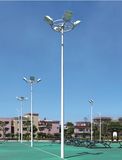 30meter LED Street Light (SYH-13201)