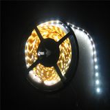 12V/24V SMD 3528/5050 LED Strip Light for Decoration