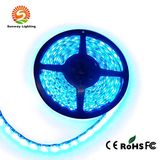 SMD 5050 Flexible LED Strip Light for Decoration