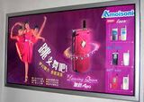 Advertising LED Wall Mount Display