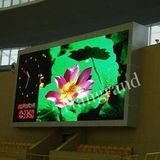 LED Sports Display