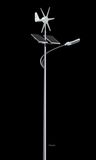 30W 5m Wind and PV Street Light