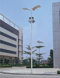 30meter LED Street Light (SYH-14601)