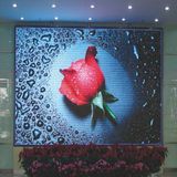 Indoor LED Display (HX-ID03013)