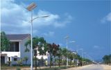 LED Solar Street Light (SYT-3277)