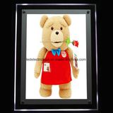 Teddy Bear Advertising LED Crystal Light Box