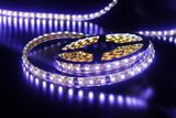 3528 3W 220V Flexible LED Strip Lights 3528-60p-220