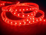 IP68 Waterproof 3528 SMD LED Strip Light (FG-LS60S3528SW)