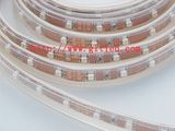 Lights Strip / LED Strip Light (GB-3528-60R/M)