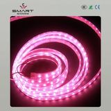 LED Strip Light (SL-B1226C30)