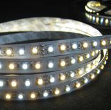 Indoor and Waterproof Flexible LED Strip Light