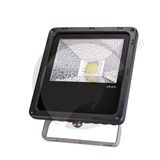 LED Outdoor Focus Light