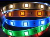 CE RoHS UL RGB/3528 Waterproof IP67 DC12V/24V Flexible LED Strip/LED Light