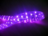 LED Strip Light 2 Wires LED Rope Light (Flat Shape)