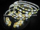 DC12V/24V 72LEDs/M RGBW Rgbww LED Strip Light