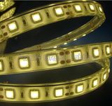 IP65 LED Flexible Strip Light