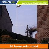 60W Solar Power LED Garden Light