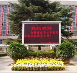 Outdoor Single Color LED Display (P10mm)