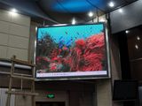 Indoor Video LED Display