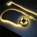 Warm White 60LED/M SMD5050 LED Strip Light