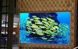 P8 Indoor Full Color LED Display/Indoor Full Color LED Display