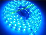 SMD5050 60PS Per Meter LED Strip Light