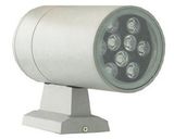 9W LED Outdoor Wall Light