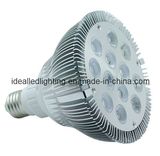LED PAR38