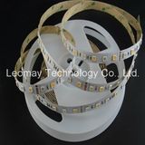 Factory Price 24volt Waterproof RGBW 5050 LED Strip Light