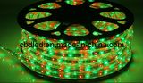 Beautiful RGB SMD 5050 LED Strip Light