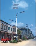180W LED Solar Street Light (SYH-7301)