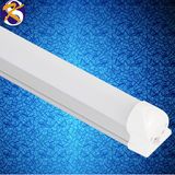 LED T8 Tube Light