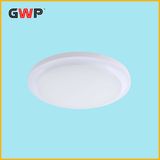 LED Ceiling Light