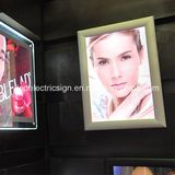 1521 Wall Mounted LED Light Box with Photo Frame