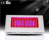 LED Growth Lights 120W