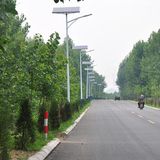 Hot Sale 18W Price LED Solar Street Lights