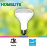 LED Light Bulb Br30