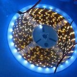 LED SMD Strip Light (3528/5050)