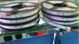 LED Strip Light SMD5730 60LED/M IP67