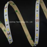 CE Approved LED Strip Light with High Luminous