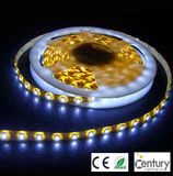 SMD LED Strip Light / LED Flexible Light